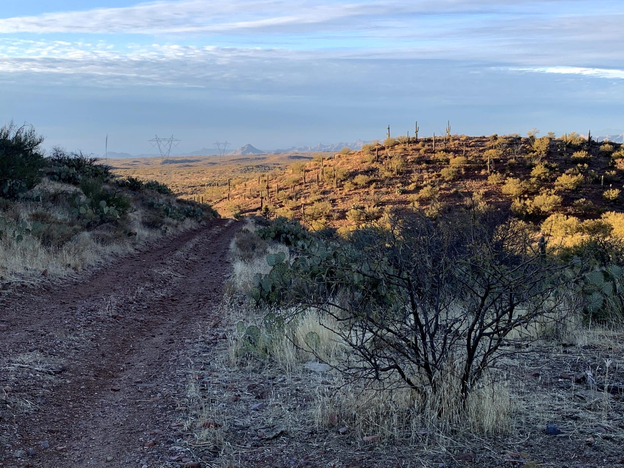 Pure Sonoran Gravel Ride Guide By Dirty Freehub