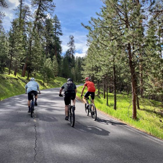 Road with cyclists leading to Walton Lake.