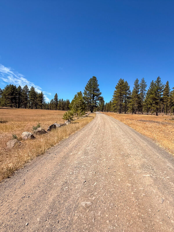 Summit Wagon Road / Dirt Road