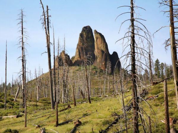 Twin Pillars in Ochoco Mountains