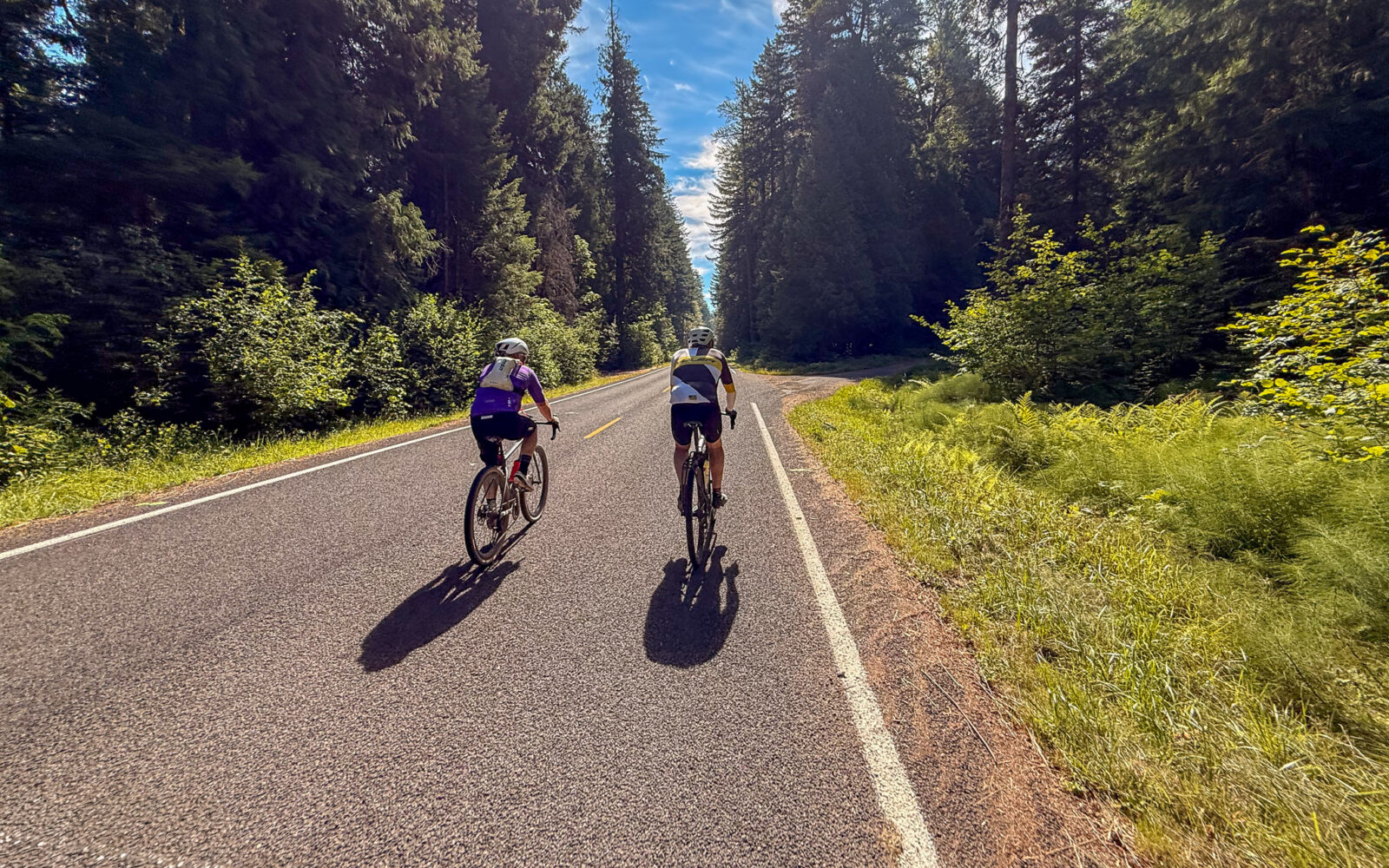 Two cyclists on paved road.