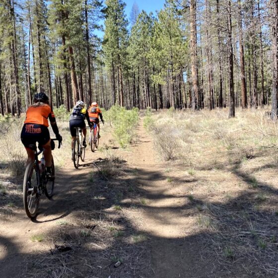 Double-track trail on south side of Black Butte.