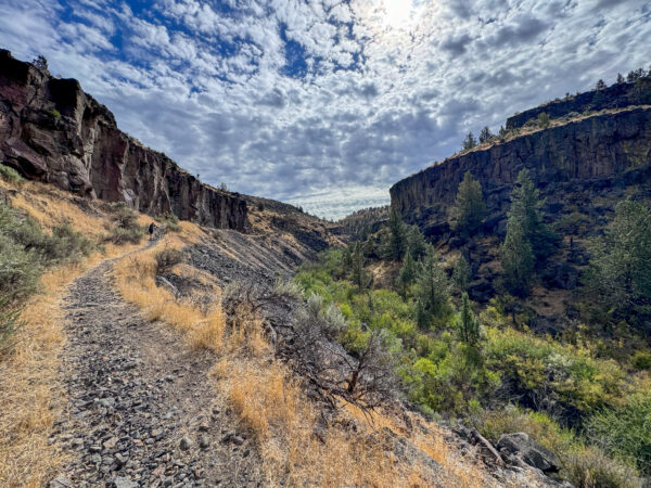 Willow Creek Canyon