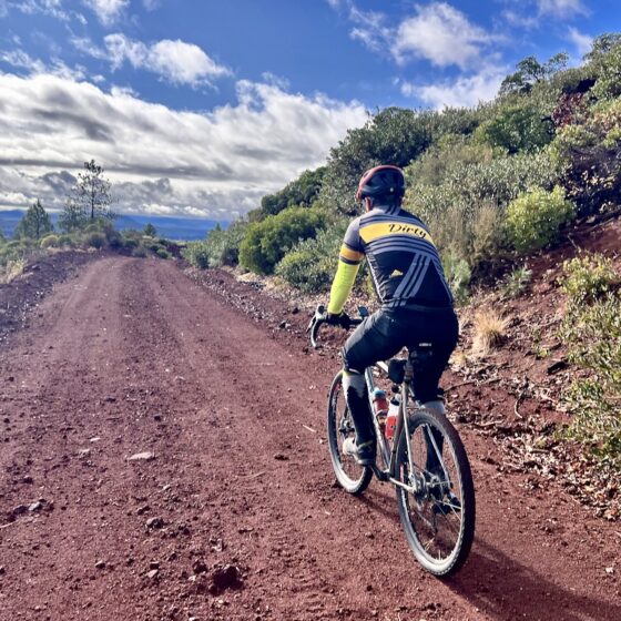 Looking south from Century Drive.