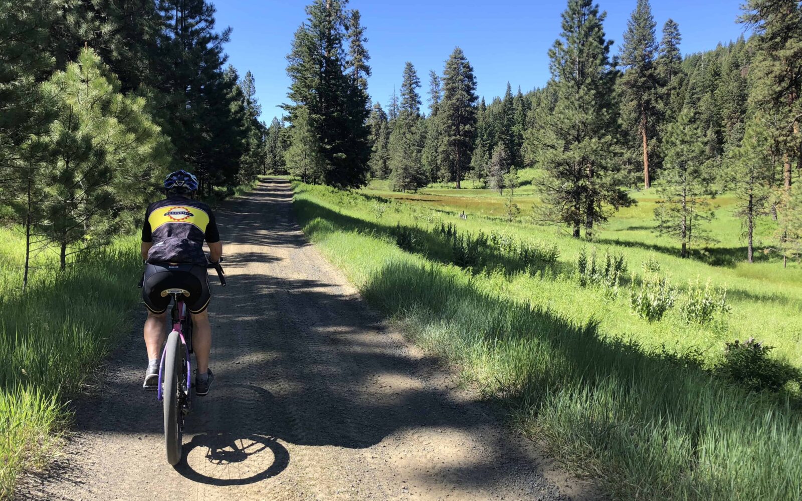 Cyclist on gravel road in Ochoco National Forest.