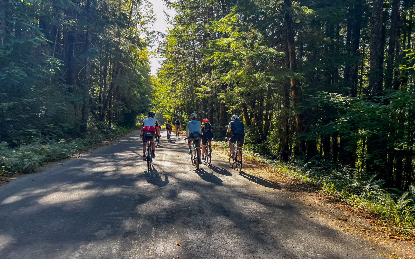 Cyclists on paved road next to Detroit Lake, Oregon.