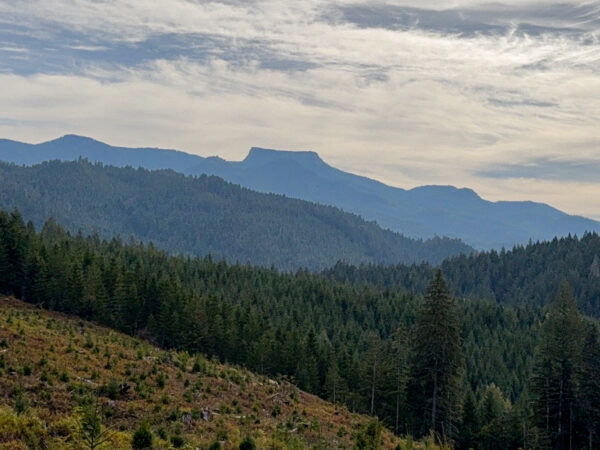 Coffin Mountain