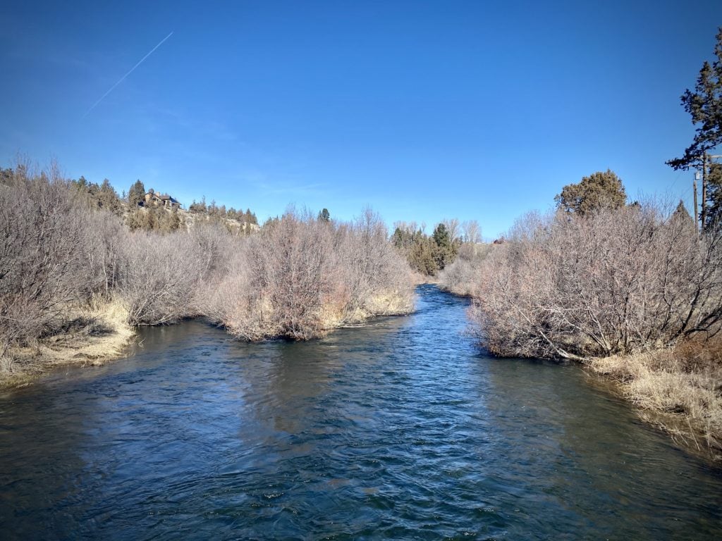 Alpaca / Gravel Ride Guide by Dirty Freehub