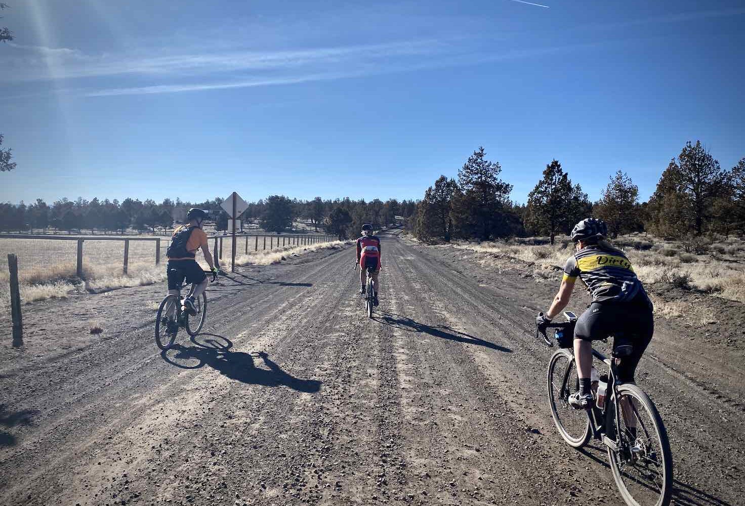 Alpaca / Gravel Ride Guide by Dirty Freehub