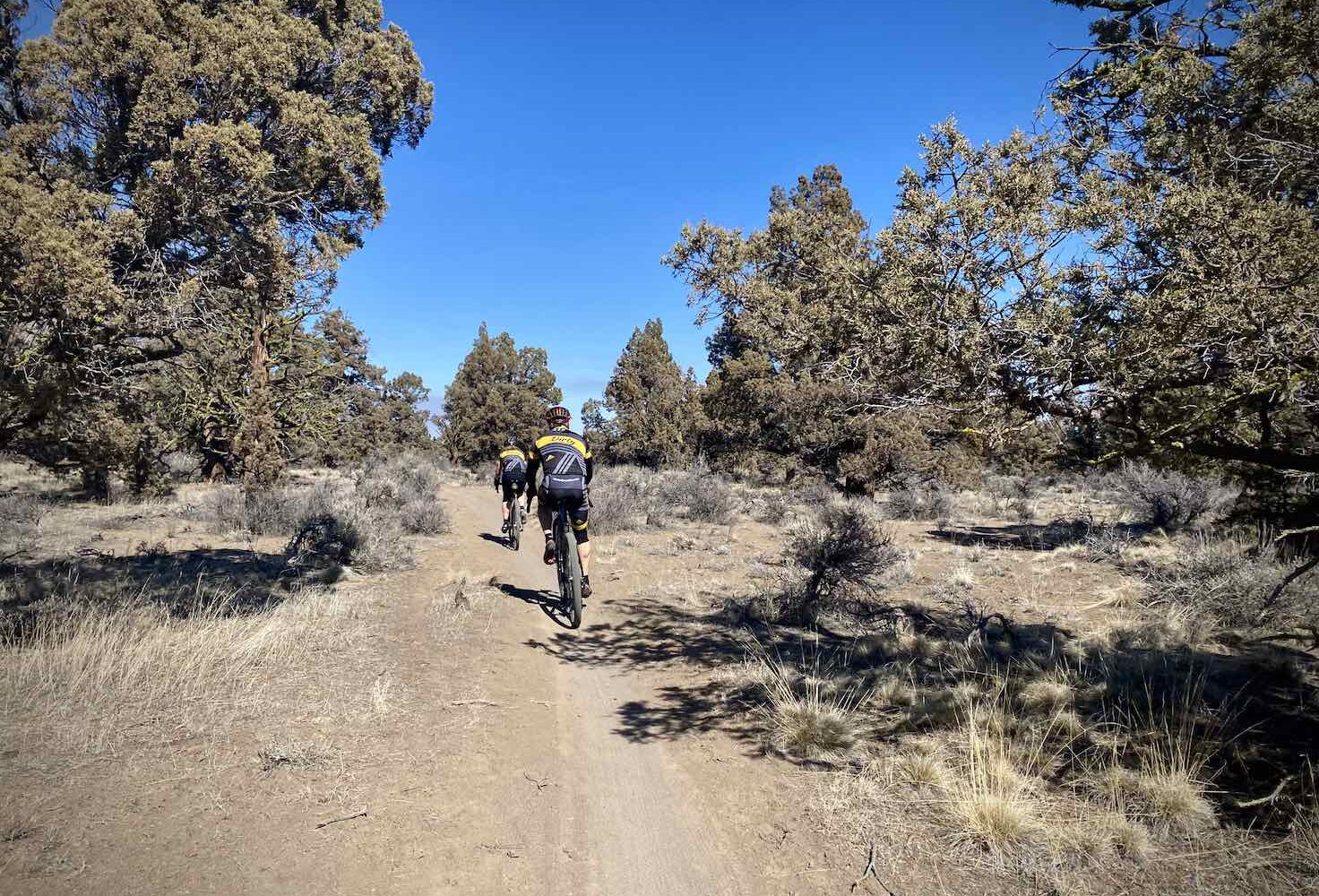 Alpaca / Gravel Ride Guide by Dirty Freehub