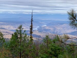 A view of the Metolius arm of Lake Billy Chinook.