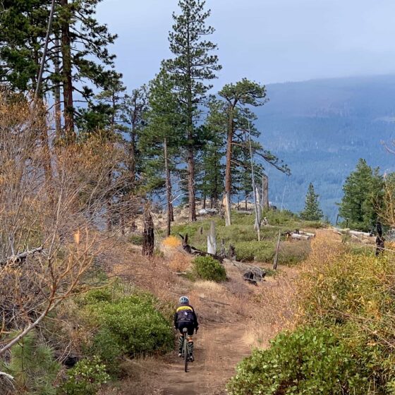 Gravel bike rider descending very primitive forest service road.