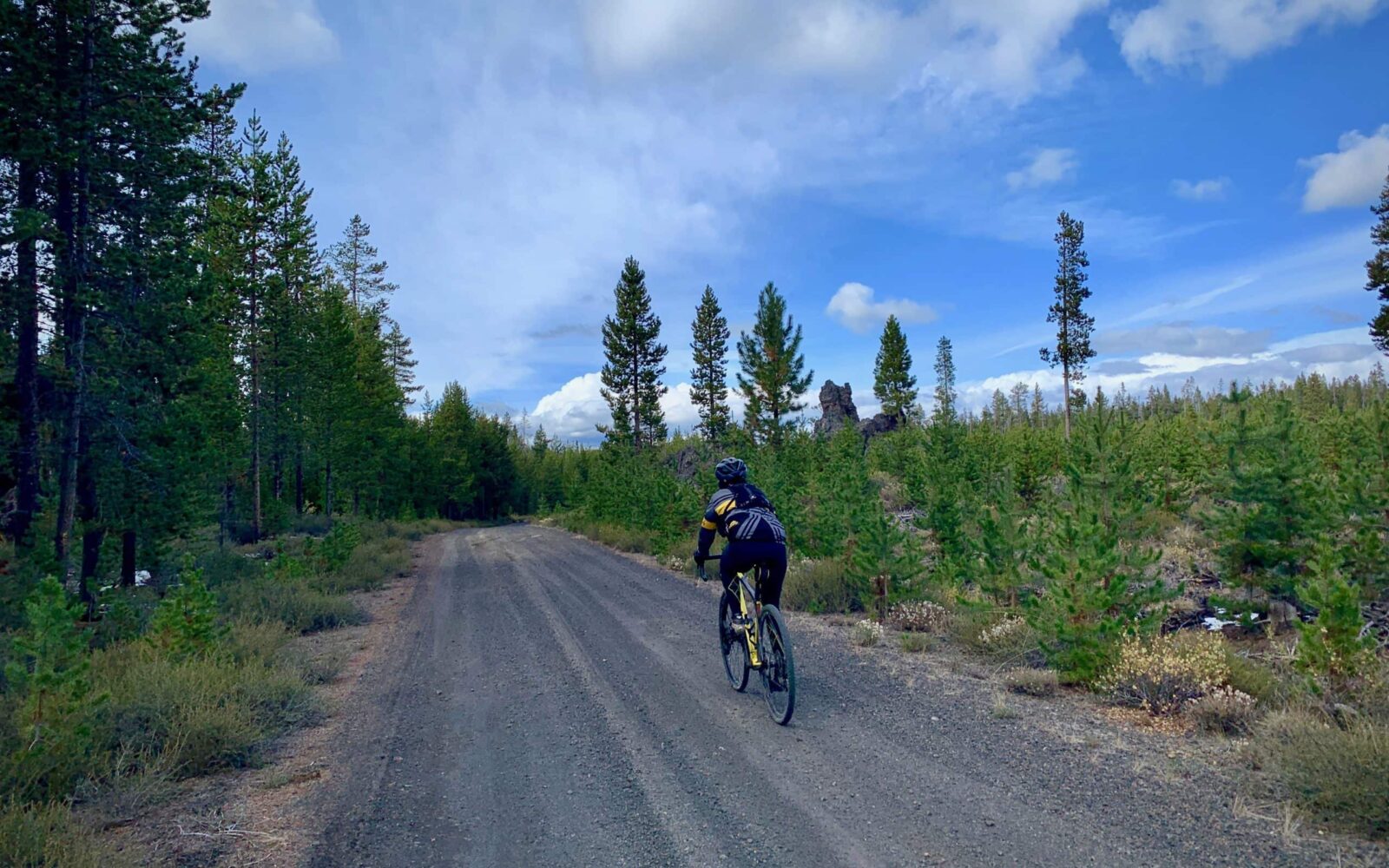 Gravel bike on forested gravel road