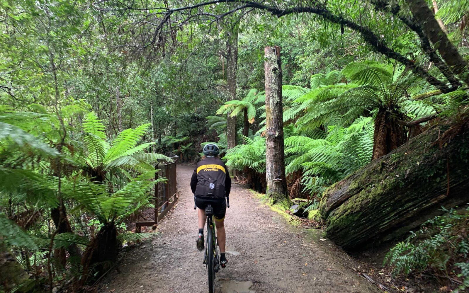 pipeline mountain bike trail