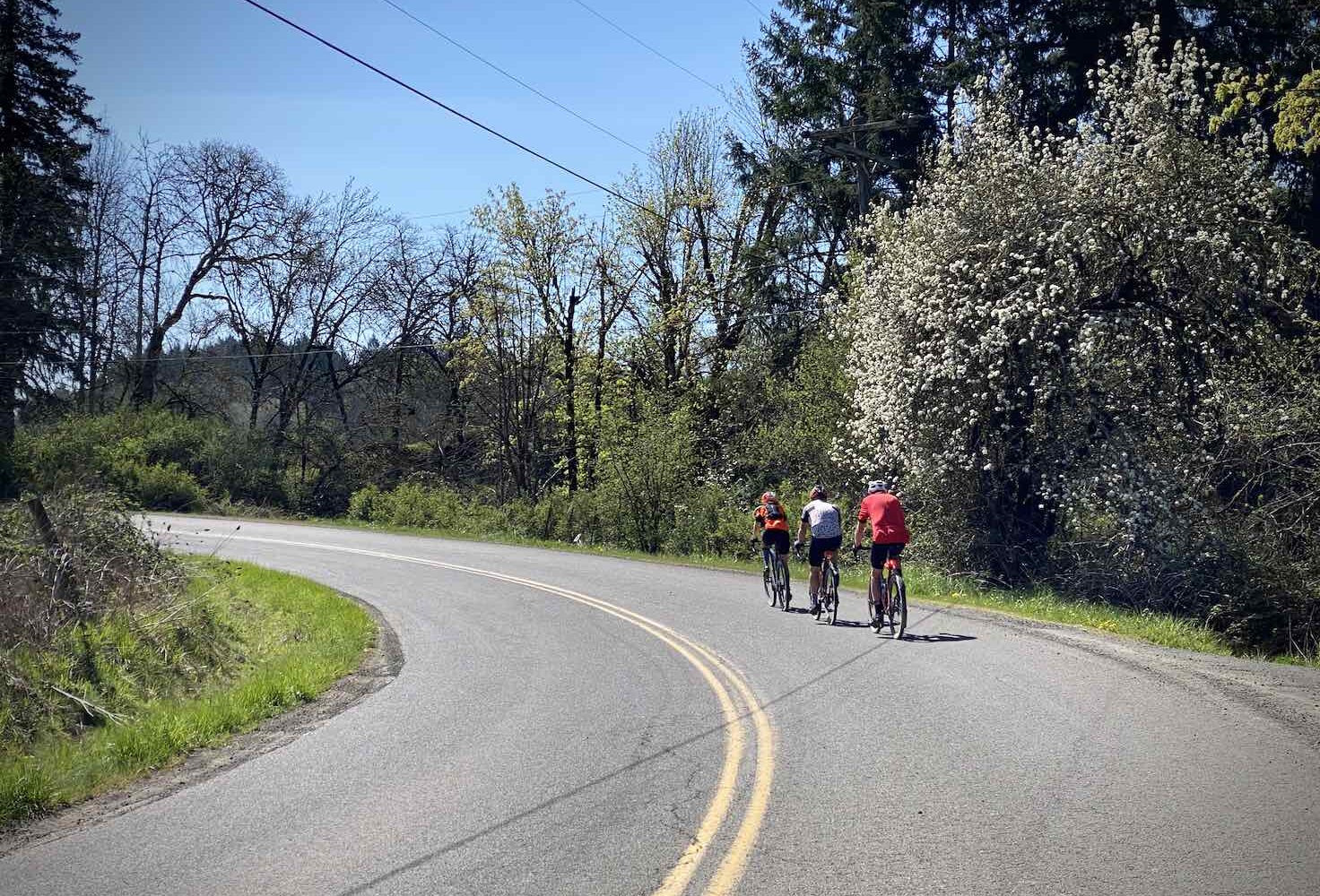 Yamhill Loop / Gravel Ride Guide by Dirty Freehub