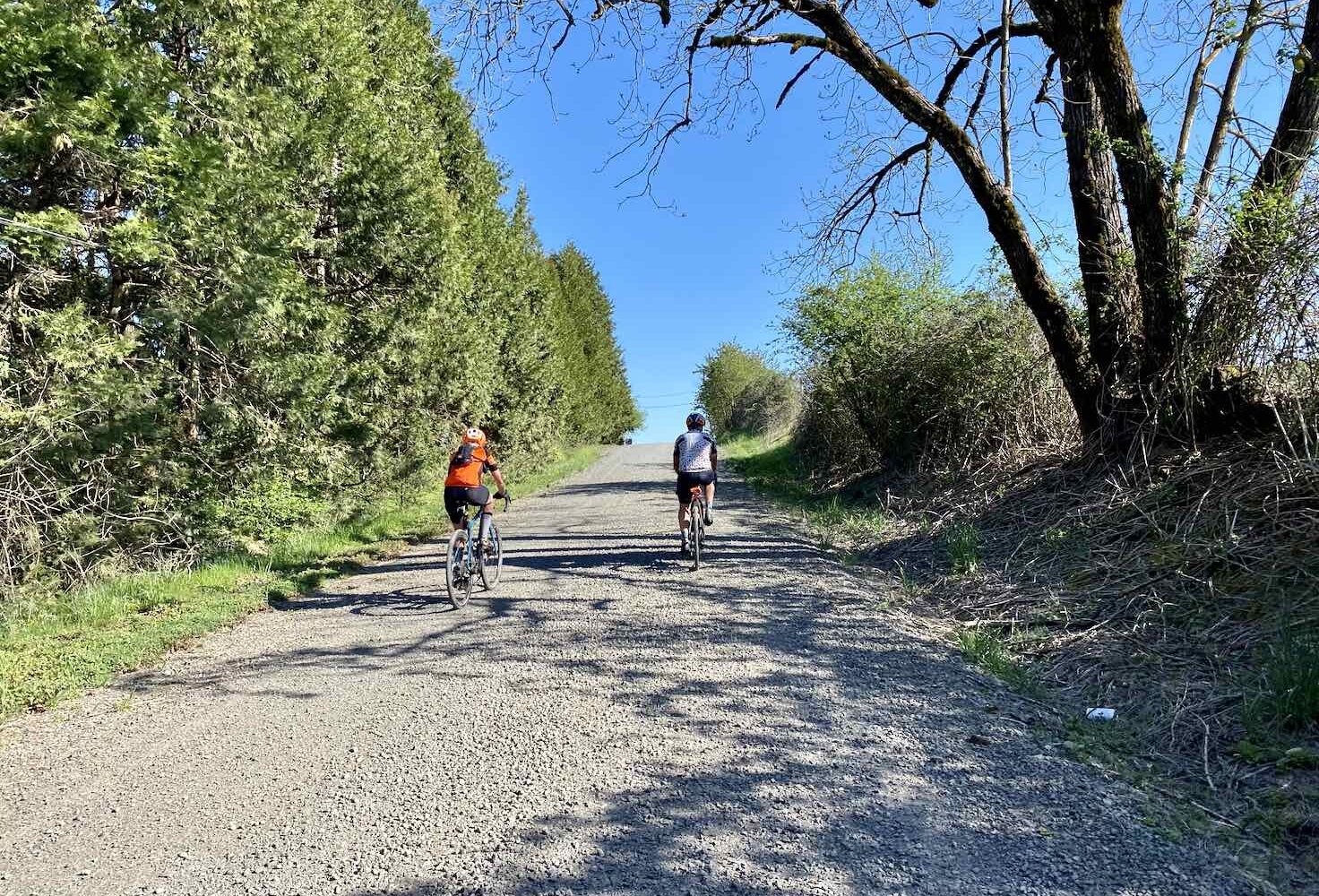 Yamhill Loop / Gravel Ride Guide by Dirty Freehub