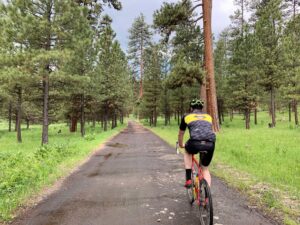 Deep into the lush forests of the Ochocos.