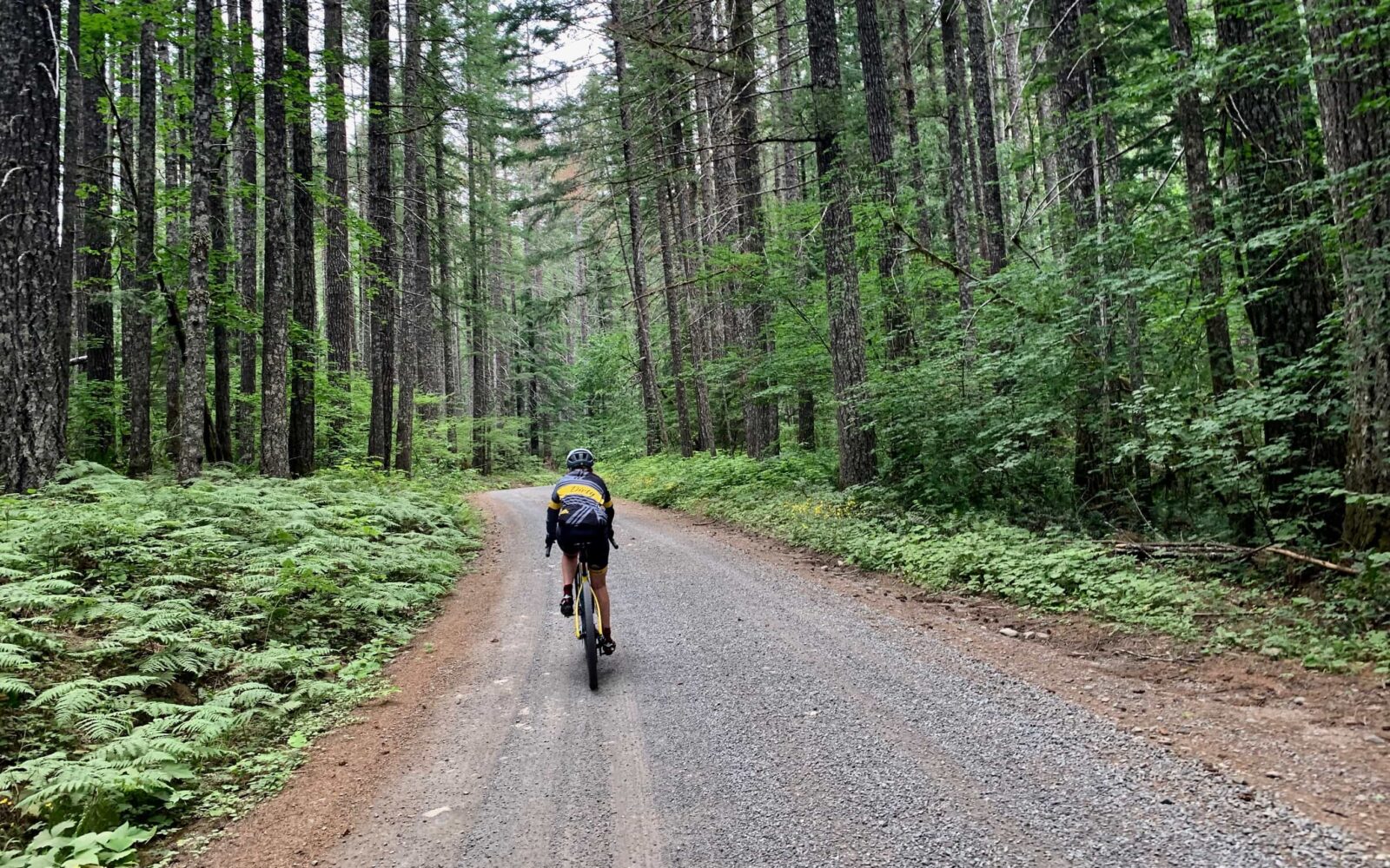 Cyclist on gravel road near Panther Creek in Gifford Pinchot national forest in the Columbia River Gorge area.