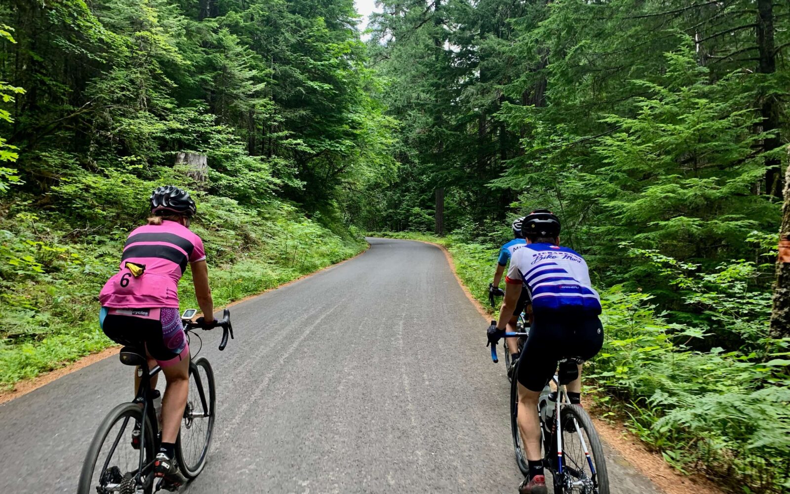 Two cyclists on paved forest service roads near Panther Creek campground in Washington state.