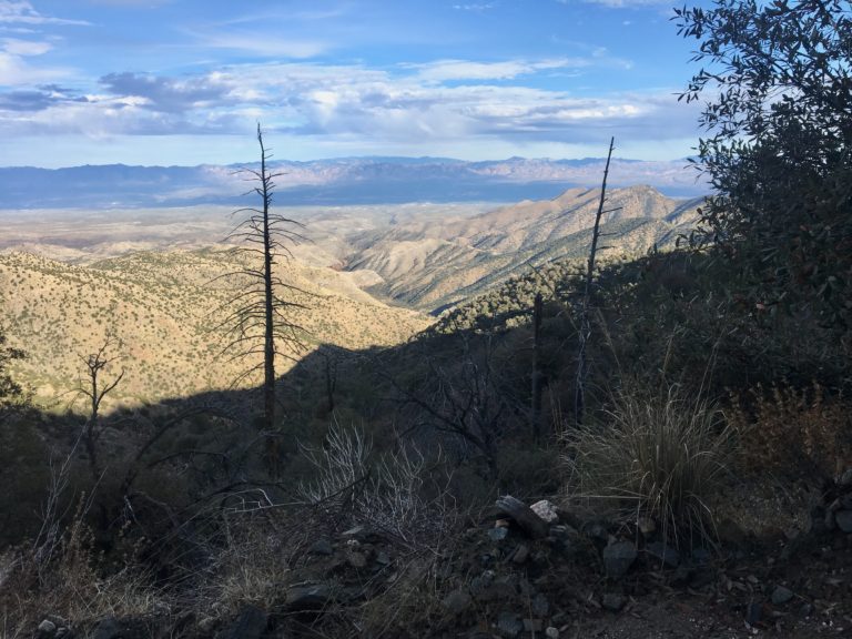 Looking back at San Pedro River Valley