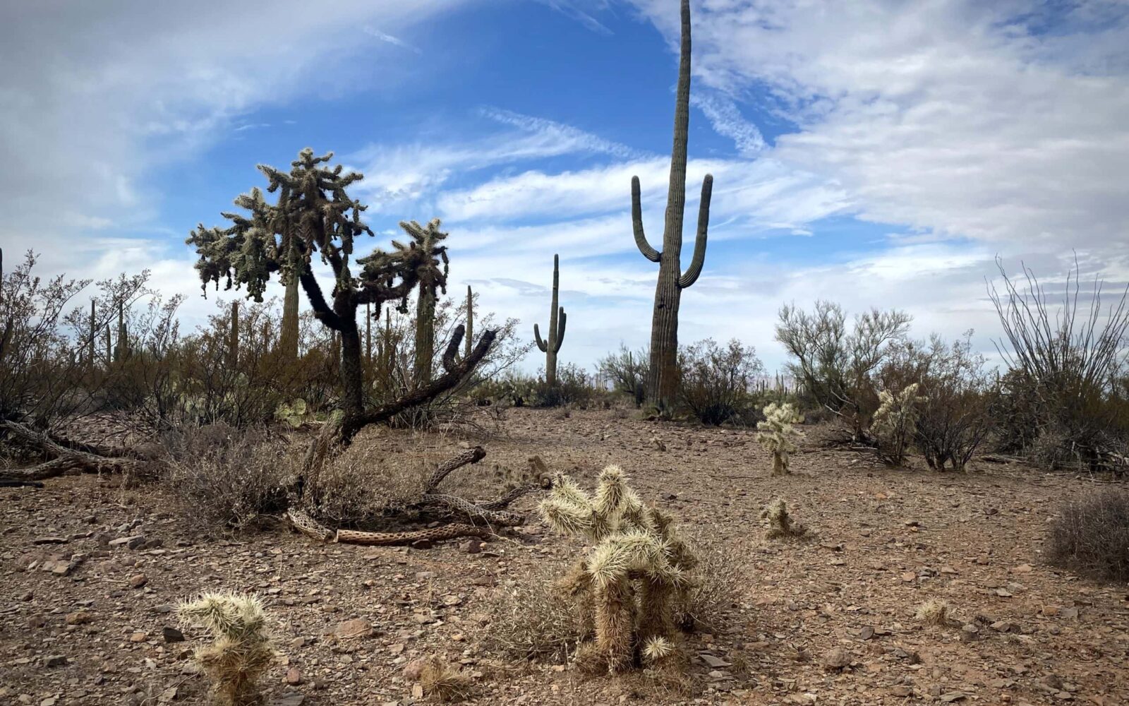 Owl Head Gravel Route by Dirty Freehub