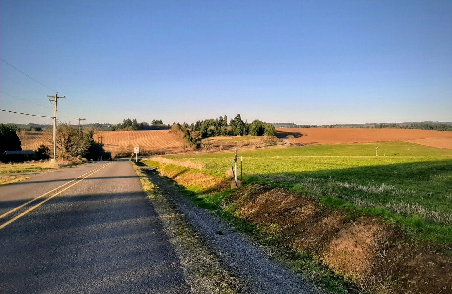 Fields along road with strokes of sunshine highlighting them in Sublimity, Oregon.