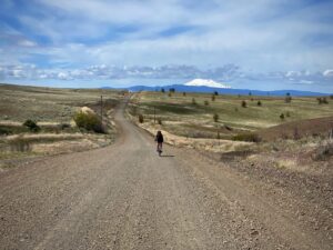 Cyclist on gravel road near Dufur, Oregon with Mt Hood in the background.