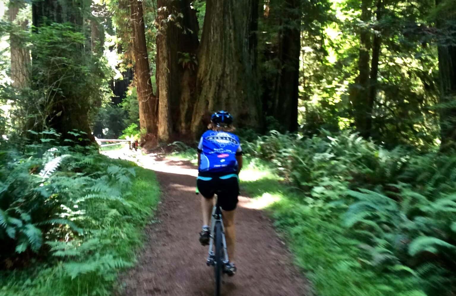 Single track on California gravel cycling route