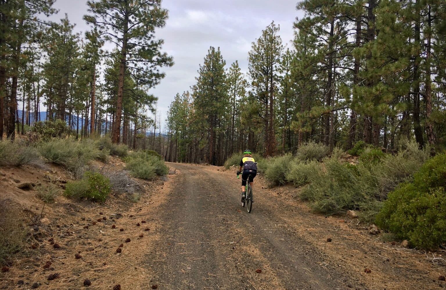 Cyclist on gravel road in the Skyline Forest near Bend, Oregon.
