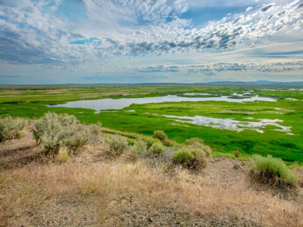 Malheur Lake