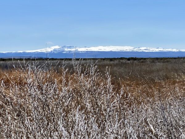 Steens Mountain