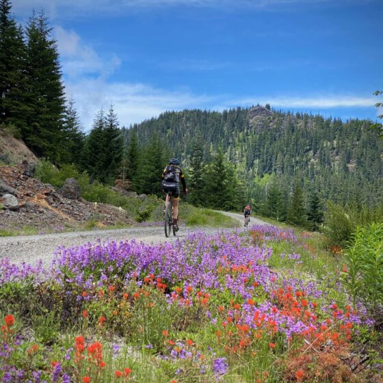 Flowers and bike riders.