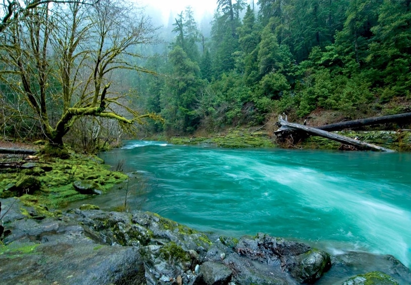 Elk River in Oregon