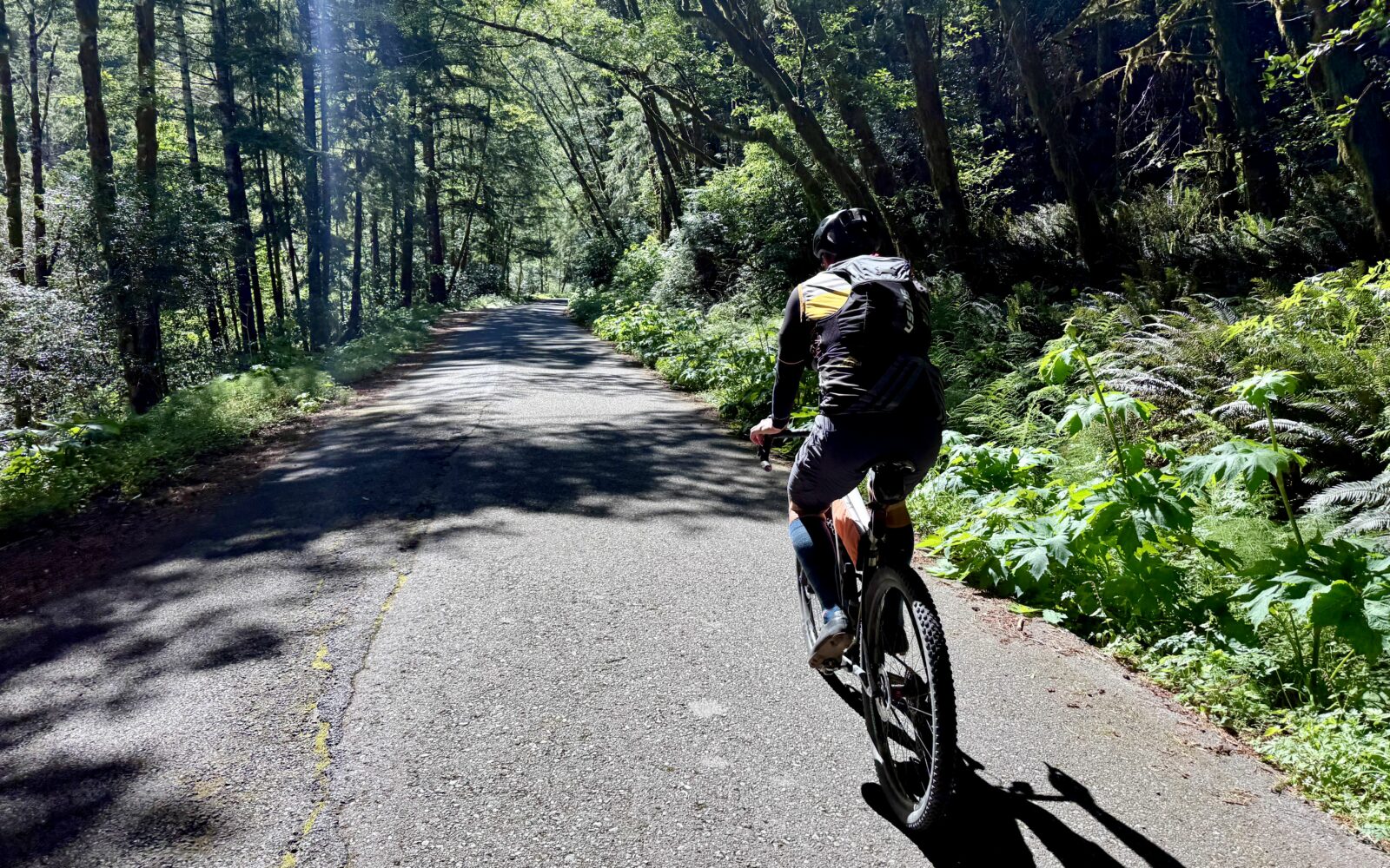 Elk River road, Port Orford.