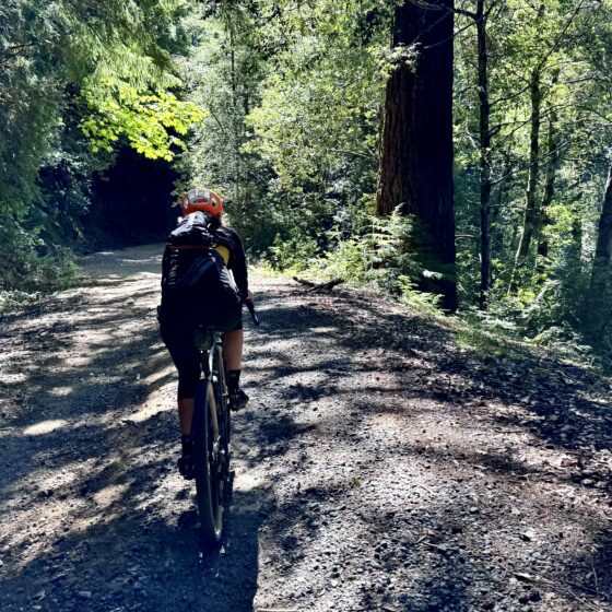 Riding bike through Doug-Fir forest.