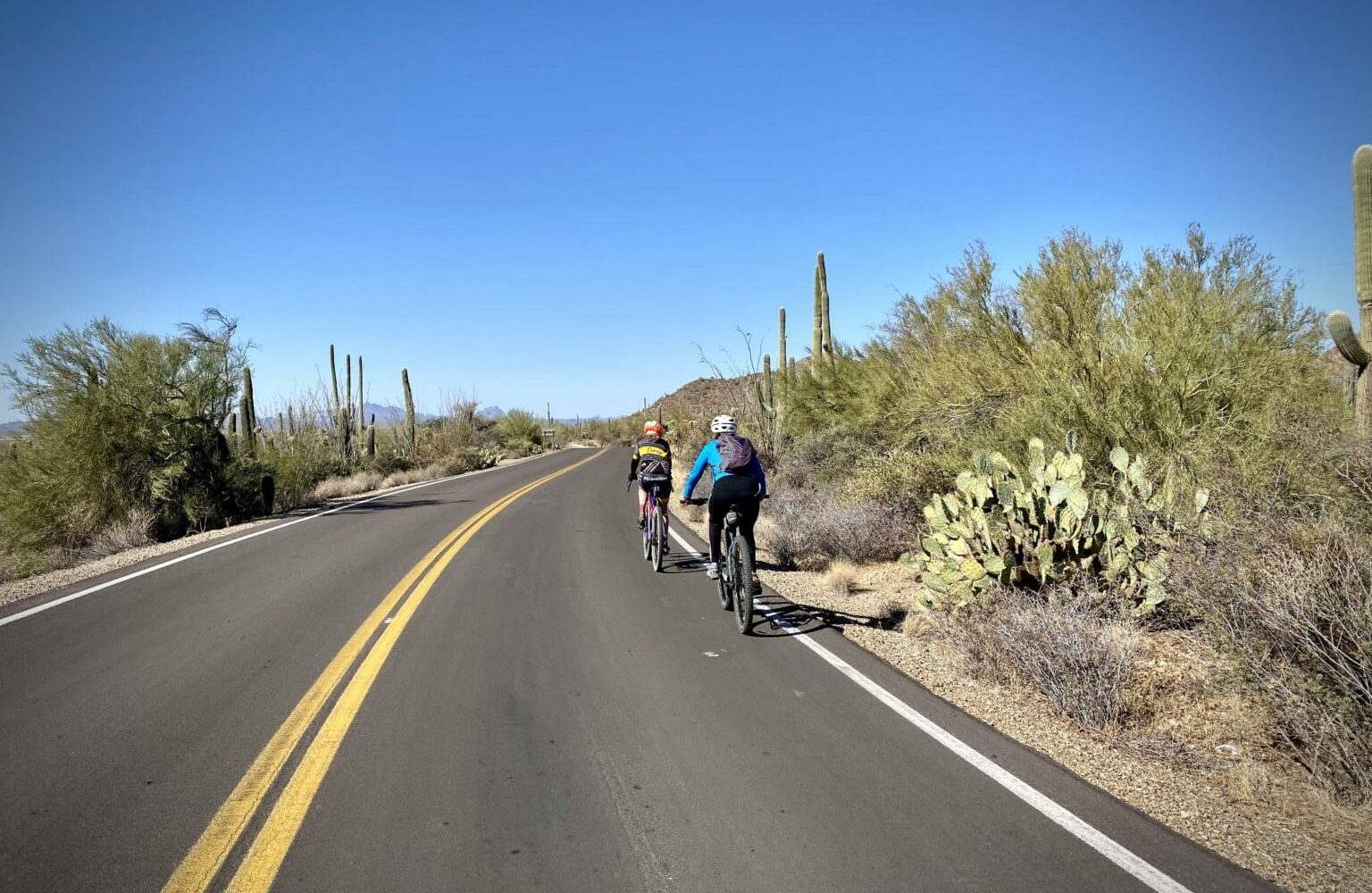 Cyclists on Kinney Road near Saguaro National Park West.