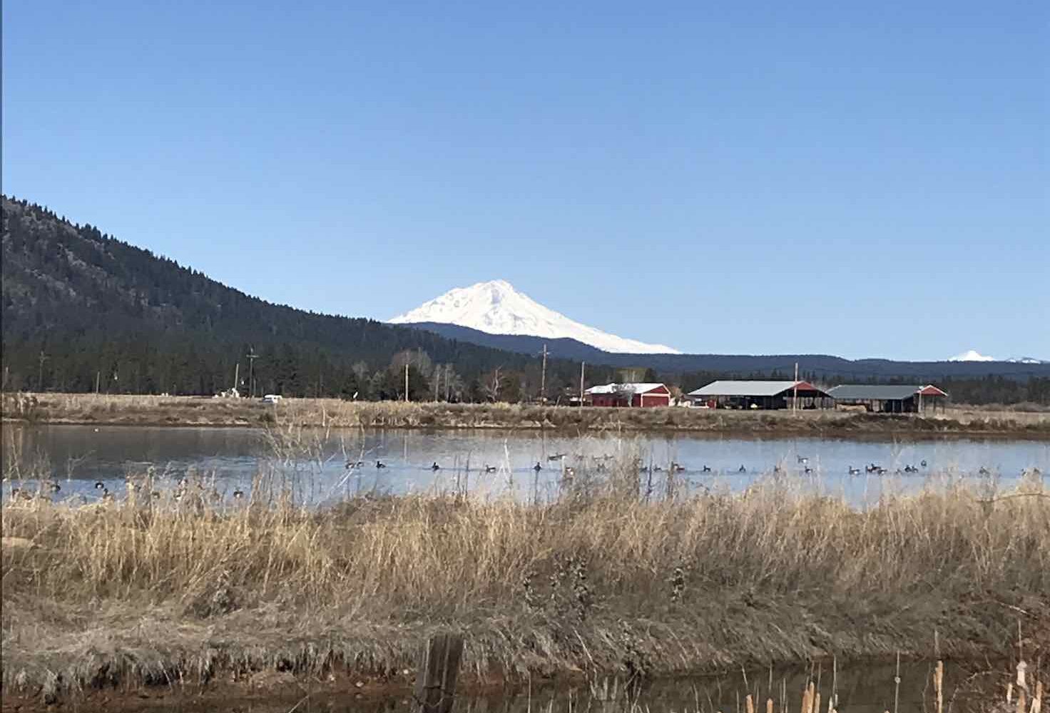 Gravel cycling route with Mt Shasta in the view