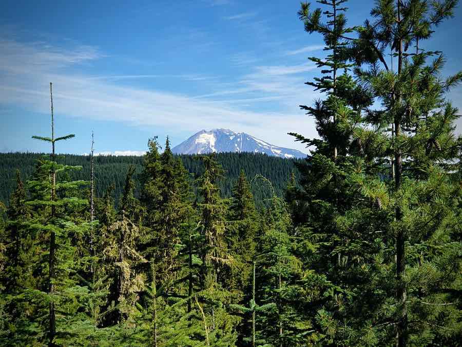 Mt Adams viewpoint on gravel cycling route in washington, outside or Portland, Oregon