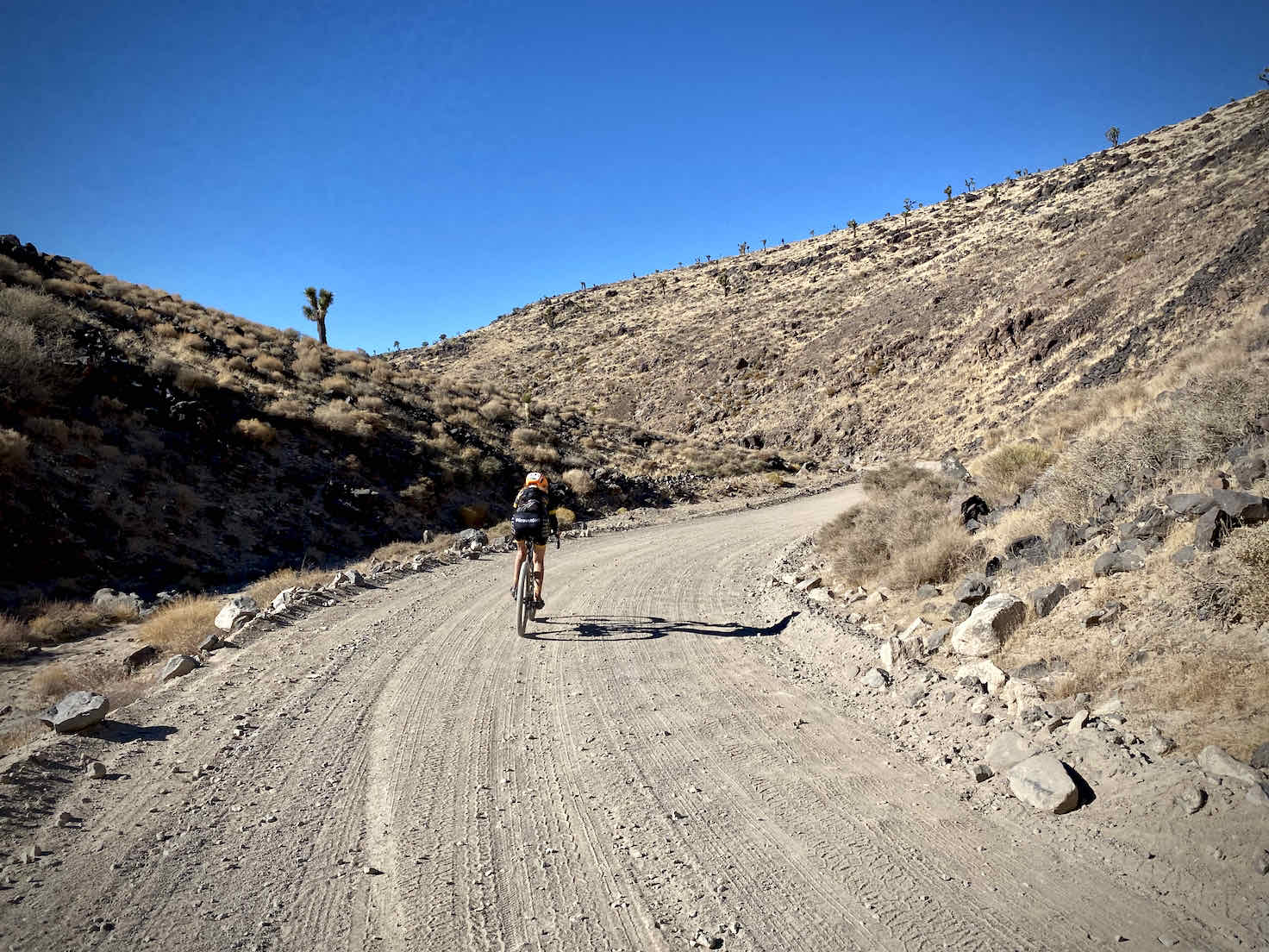 Gravel cyclist on sweeping bend on Saline Valley road.
