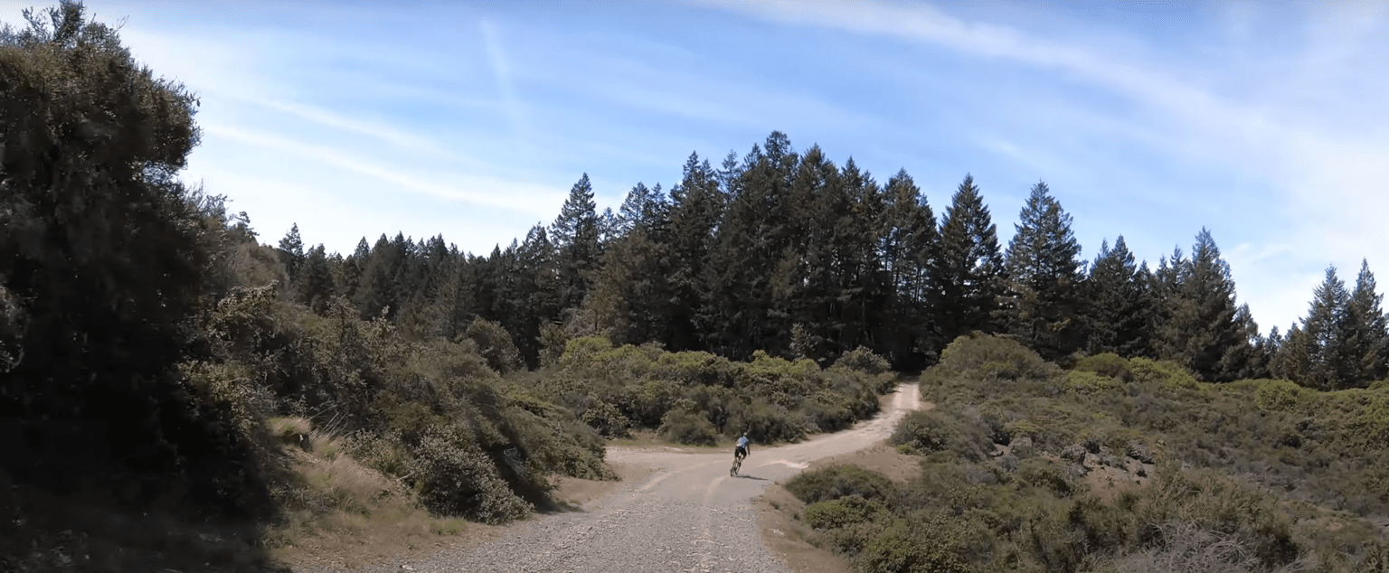 Mount Tam / Gravel Ride Guide by Dirty Freehub
