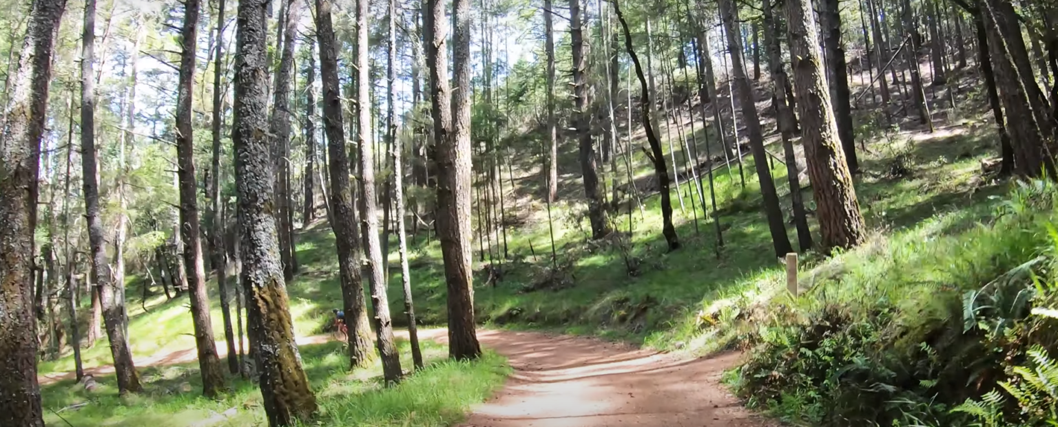 Mount Tam / Gravel Ride Guide by Dirty Freehub