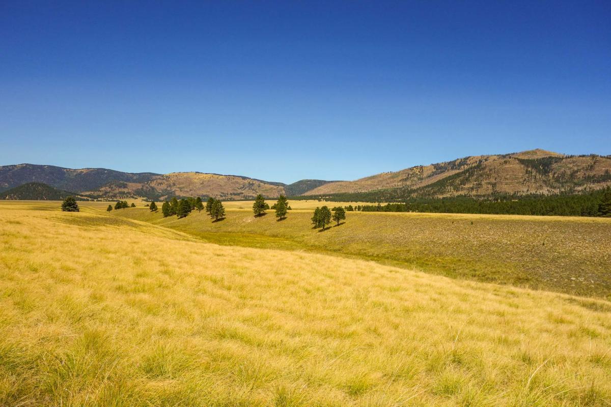 Valles Caldera / Gravel Ride Guide by Dirty Freehub