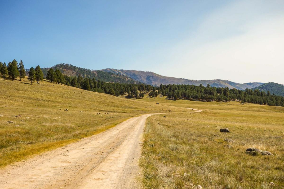 Valles Caldera / Gravel Ride Guide by Dirty Freehub