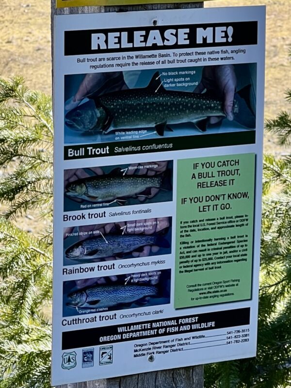 Bull Trout sign