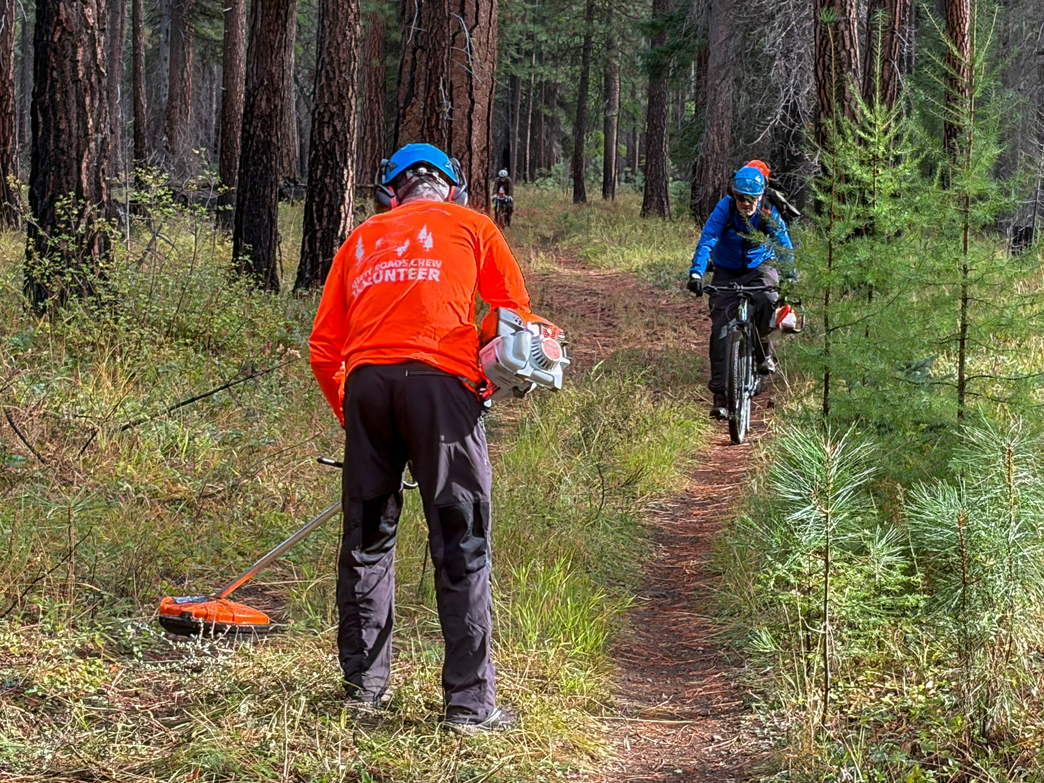 Dirty Roads Crew volunteers brushing an overgrown trail