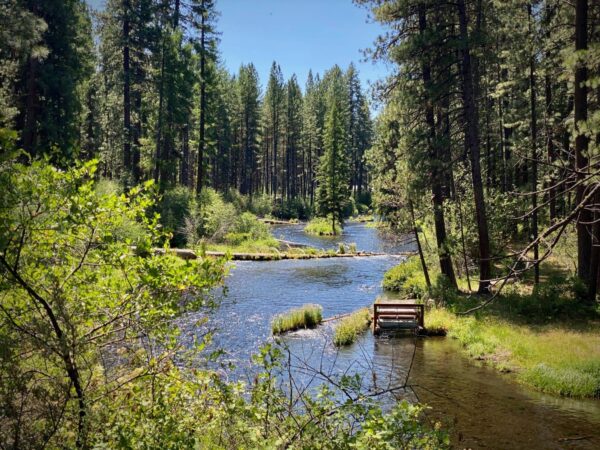 Head of the Metolius