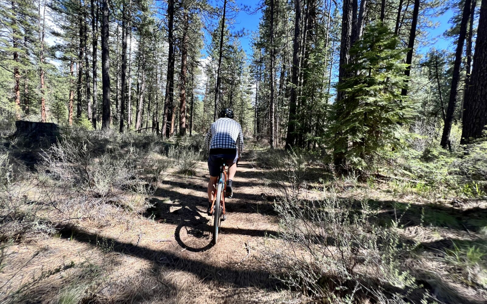 Riding single-track out of Black Butte Trailhead.