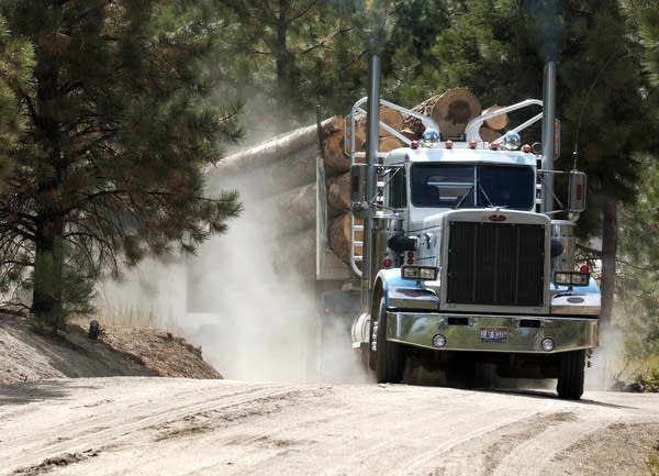 Logging Truck in British Columbia