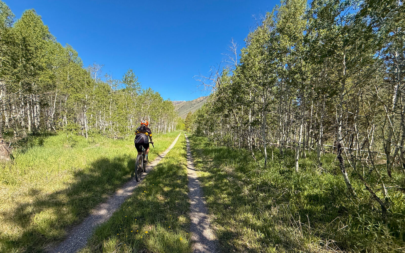 Gravel cyclist on the Harriman Trail double track near the Sawtooth visitor center.