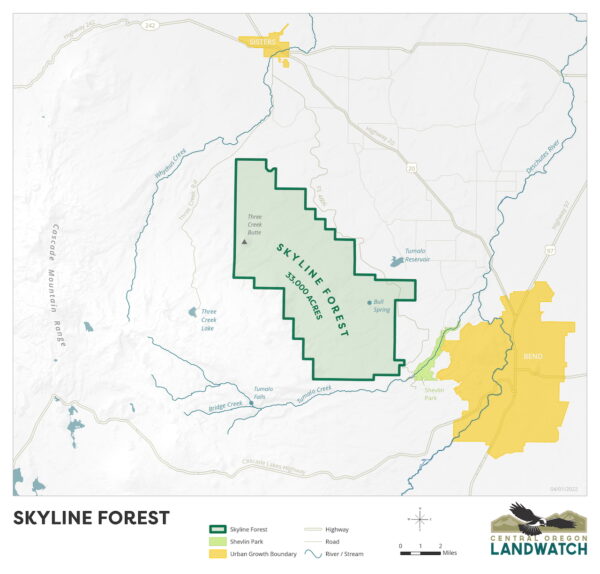 Skyline Forest Map